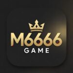 M6666